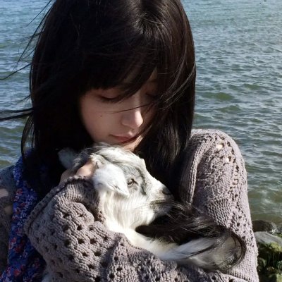 功夫熊猫感恩节特辑